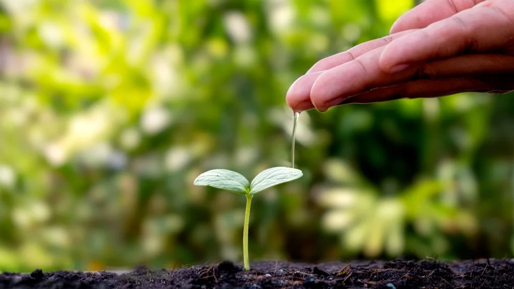 Curso Medio Ambiente ISEIE-Educación ambiental