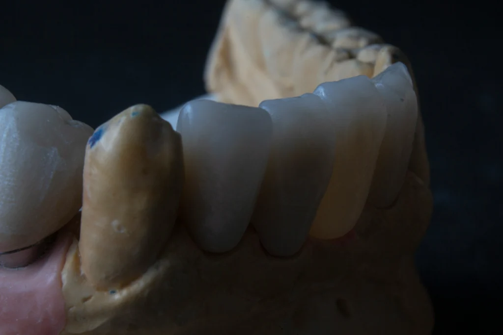 Curso en Odontología Forense