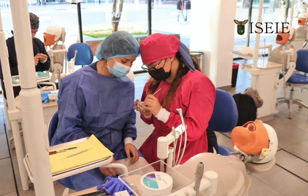 Odontólogos españoles estudiando diplomado con certificación internacional.