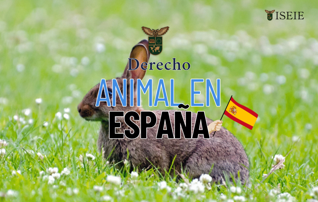 Un escudo con símbolos legales y siluetas de animales, representando el derecho animal en España y la legislación animal 2025.