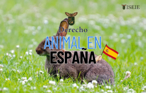 Un escudo con símbolos legales y siluetas de animales, representando el derecho animal en España y la legislación animal 2025.