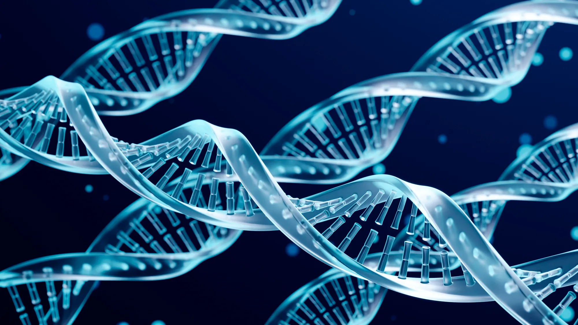 Máster en Oncología Médica, Genómica y Big data 2