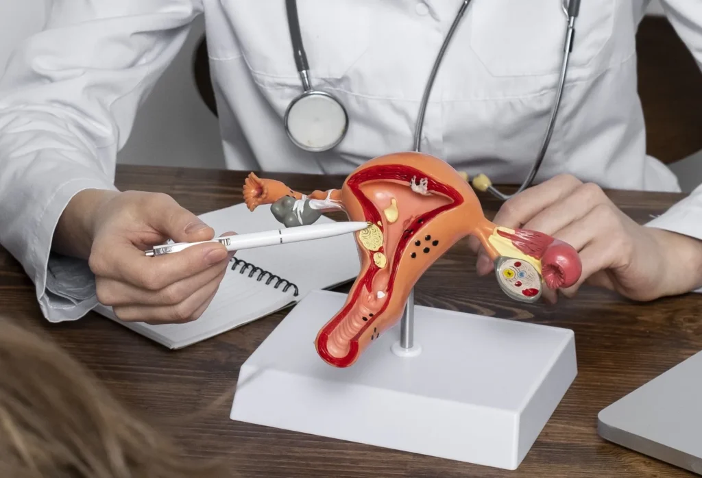 Maestría en Uroginecología y Suelo Pélvico 1