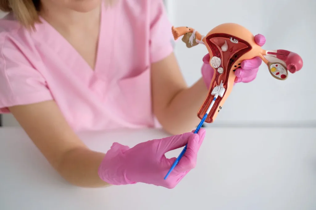 Máster Anatomía y Fisiología del Aparato Reproductor Femenino 1