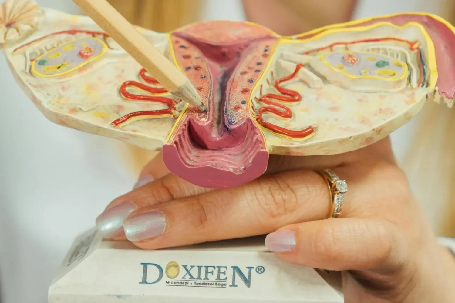 Diplomado en Ginecología Clínica 1