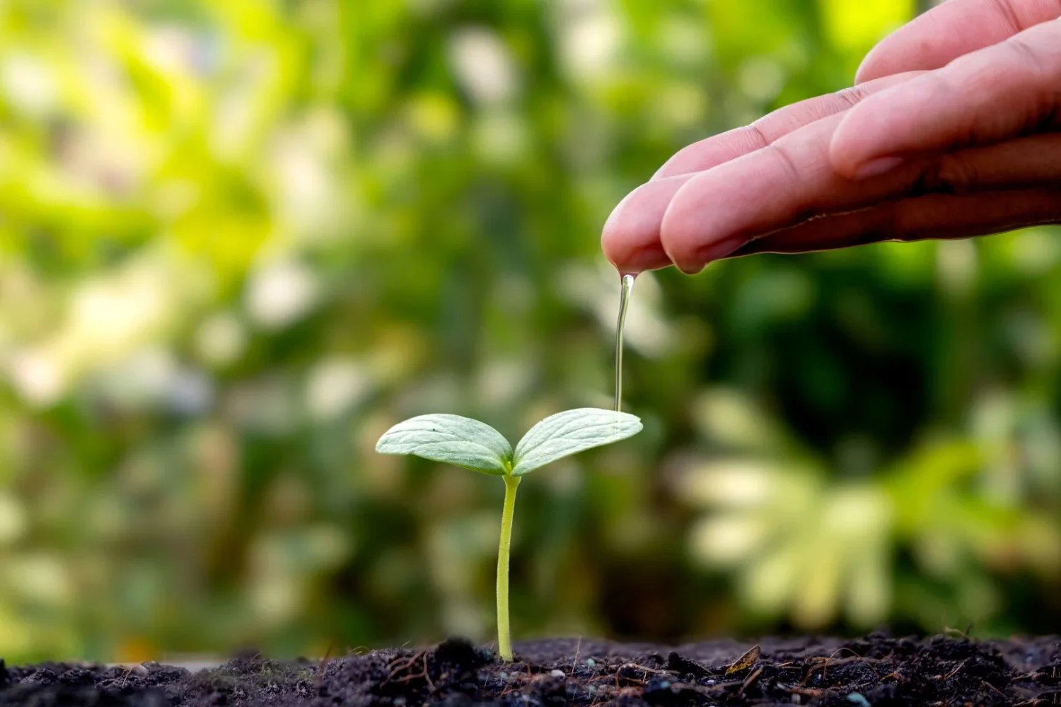 ISEIE-Educación ambiental